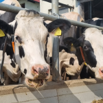 20230523-AHV-Testimonial-SL-Cajhen-1