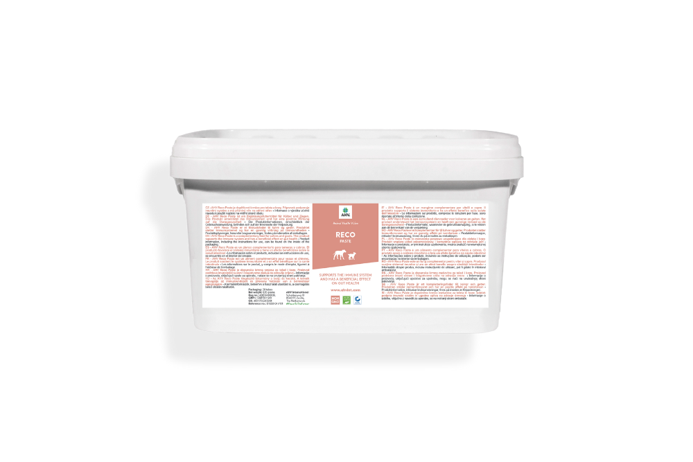 20240418-AHV-EU-Reco-TR-1000x667