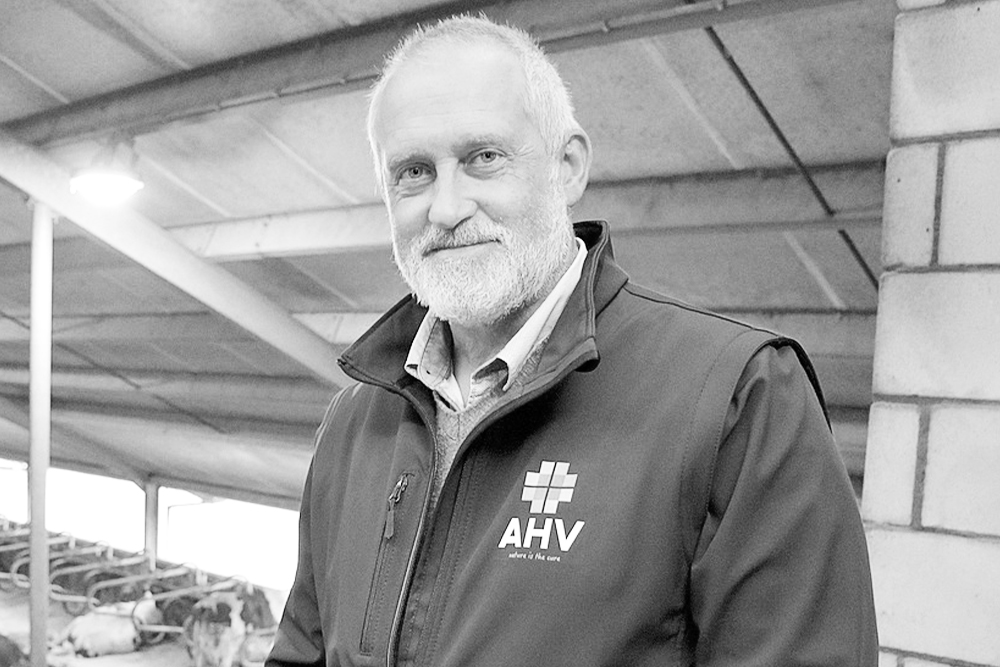 Team members- Gertjan Streefland