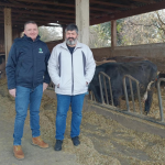 AHV-Article-HR-Silvano_Orbanic-1