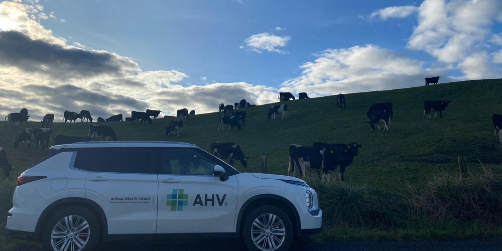 AHV-Article-NZ-OAD-TOD