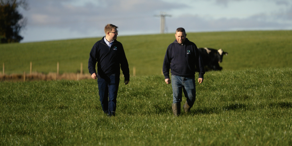 AHV-Article-Stephen_Morisson-Featured-1000x500