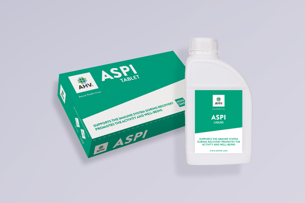 AHV-Aspi_Family-Slovenia-GREY-1000x667