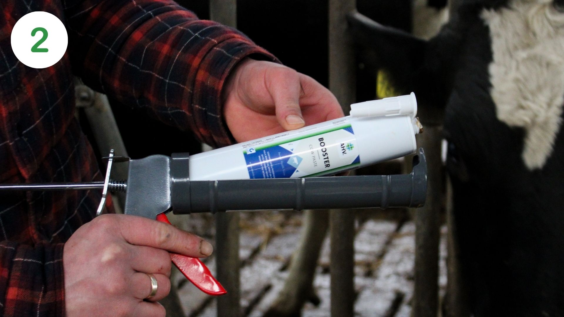 AHV Booster Paste how to 2