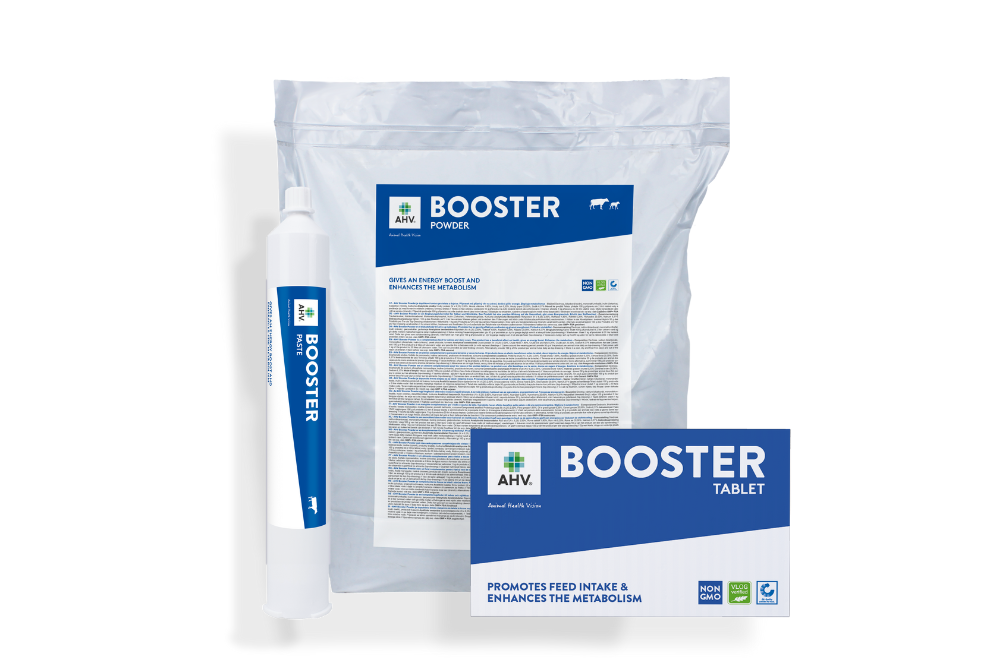 AHV-Booster_Family-EU-1000x667-TR