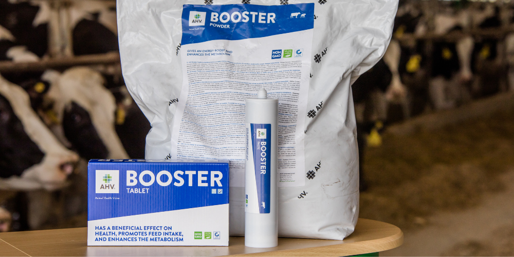 AHV-Booster_Family-Featured_Image-Art_1-1000x500