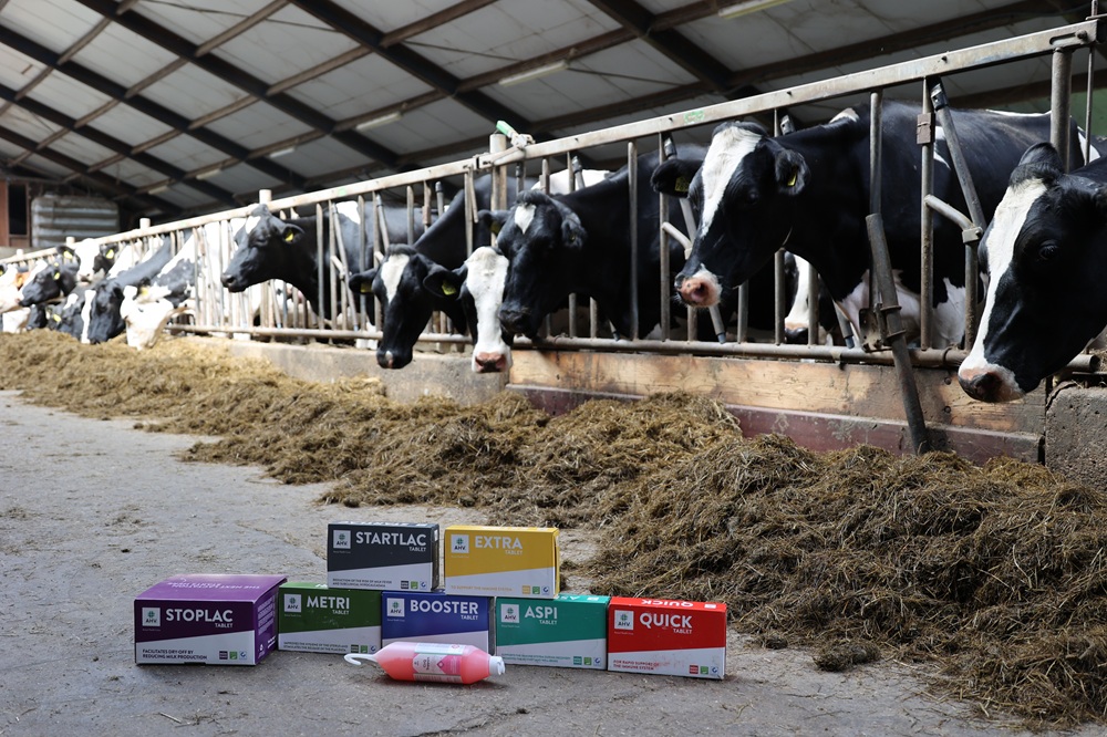 AHV klantervaring bij Harm Hoogkamp in Warffum - Holstein koeien voerhek - StartLac Extra StopLac Metri Booster Aspi Quick CirQ Support