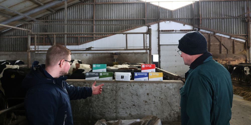 AHV Oldenburger - HFD -