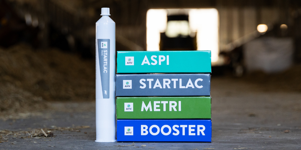 AHV-Transition_UterineHealthFertility-Program-1000x500