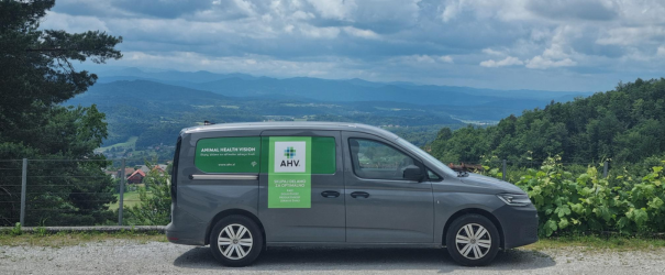 AHV-Website-SL-Caddy-605x250