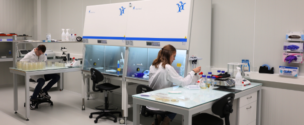 Antimicrobial Resistance (AMR)