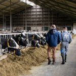 Maatschap J. en A. Reitsma en I. Snijder