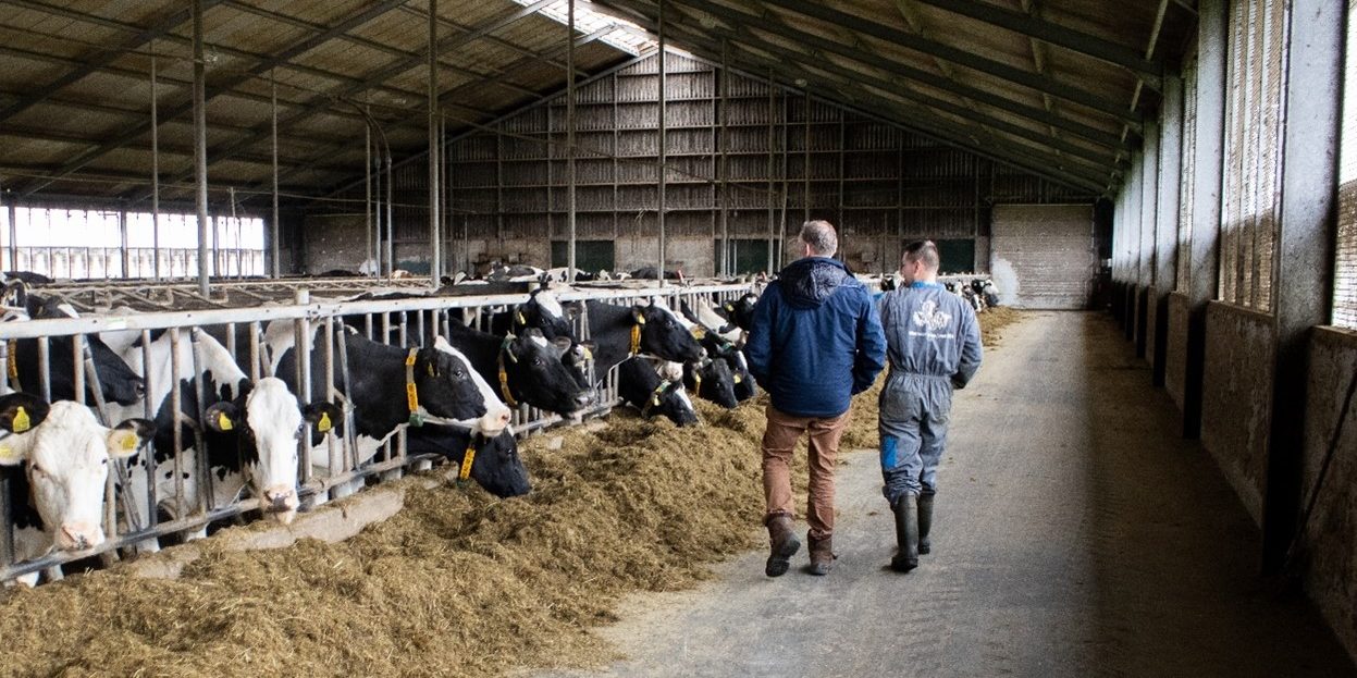 Maatschap J. en A. Reitsma en I. Snijder