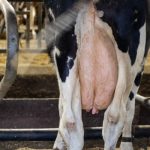 Article 2 - Waarom abrupt droogzetten - featured image