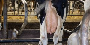 Article 2 - Waarom abrupt droogzetten - featured image