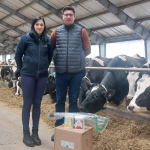 Article-PL-Danko-Photos-1