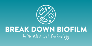 Article-Visuals-Biofilm-the-challenge-for-longevity-1000x500-1