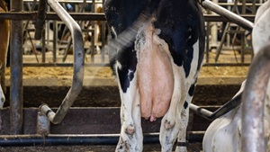 Droogzetten Programma