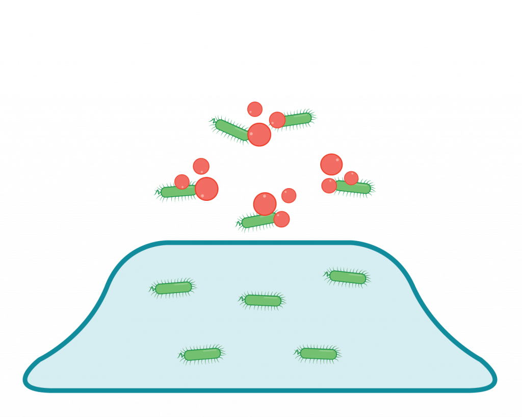 Biofilm-visuals-1A-01
