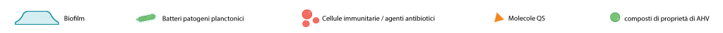 Biofilm-visuals-legend1-IT-07