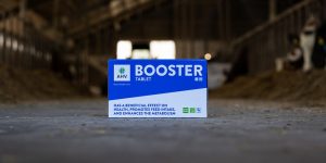 Booster Tablet 1000 x 500