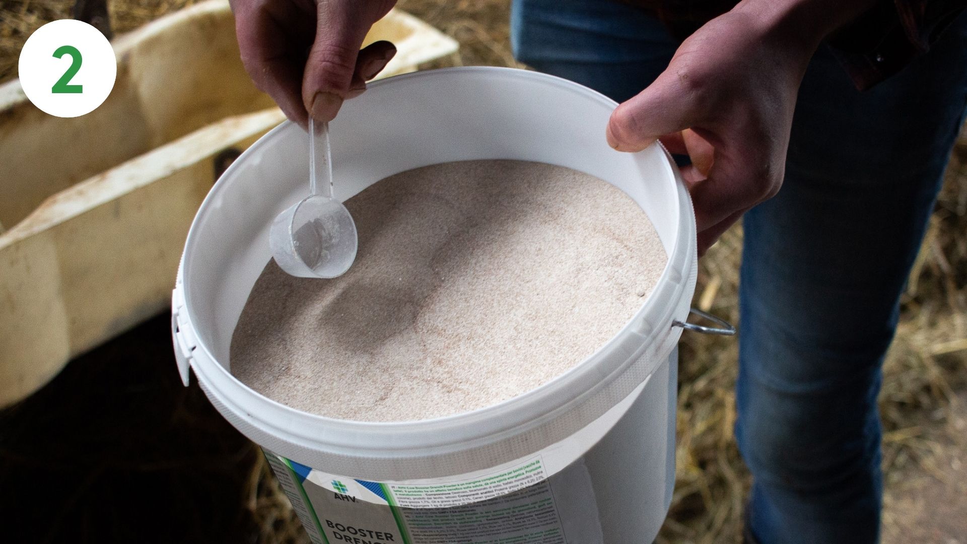 Booster calf how to 2