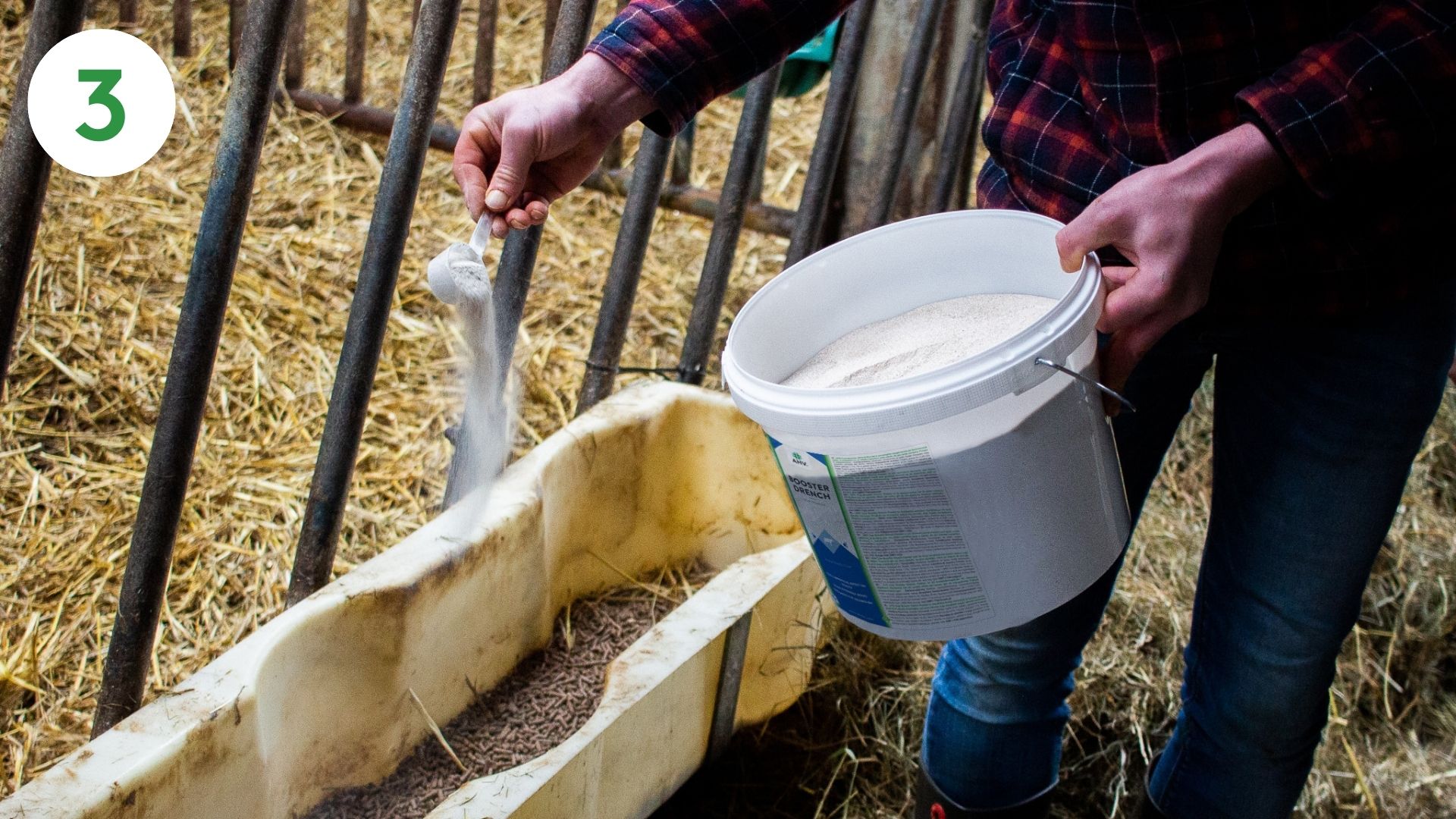 Booster calf how to 3