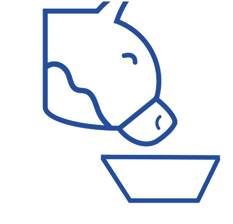 AHV Booster benefit 2