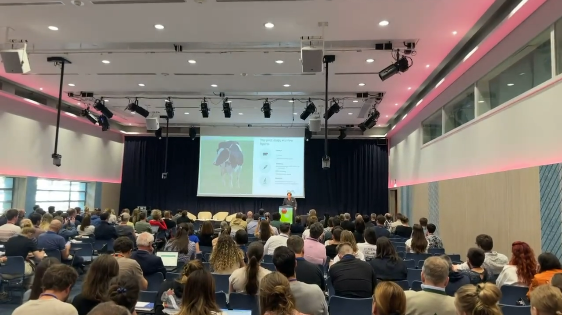 Buiatrics (FR) - 2025