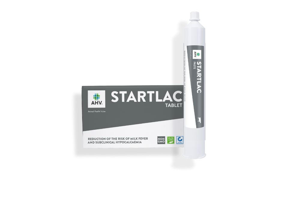 AHV StartLac Tablet & Paste For reduction of the risk of milk fever and subclinical hypocalcaemia