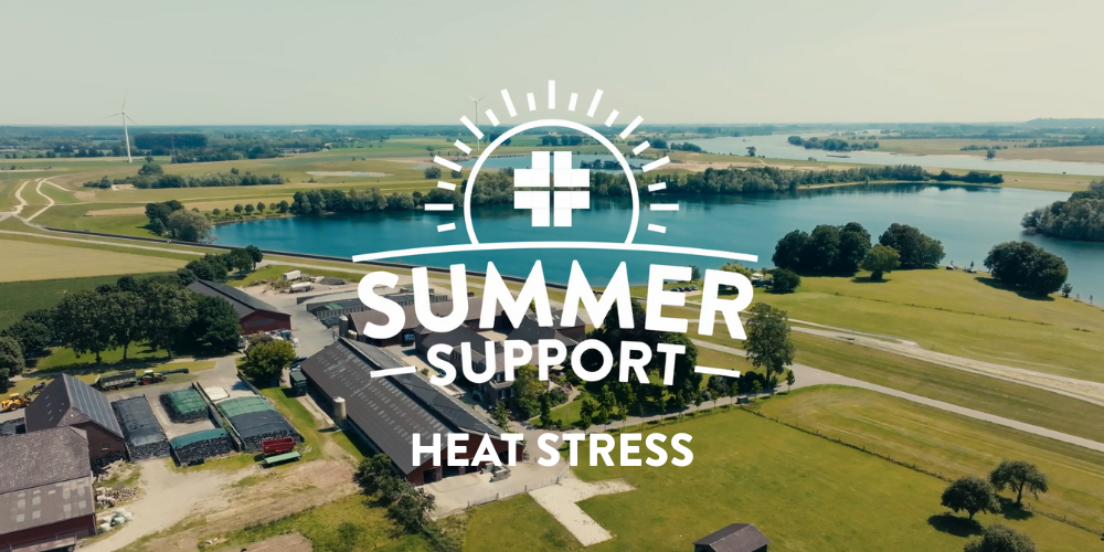 Featured-Image-Website-Summer-Support-Q3-2025-HEAT-STRESS