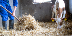 Respiratory-challenges