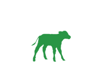 calf icon