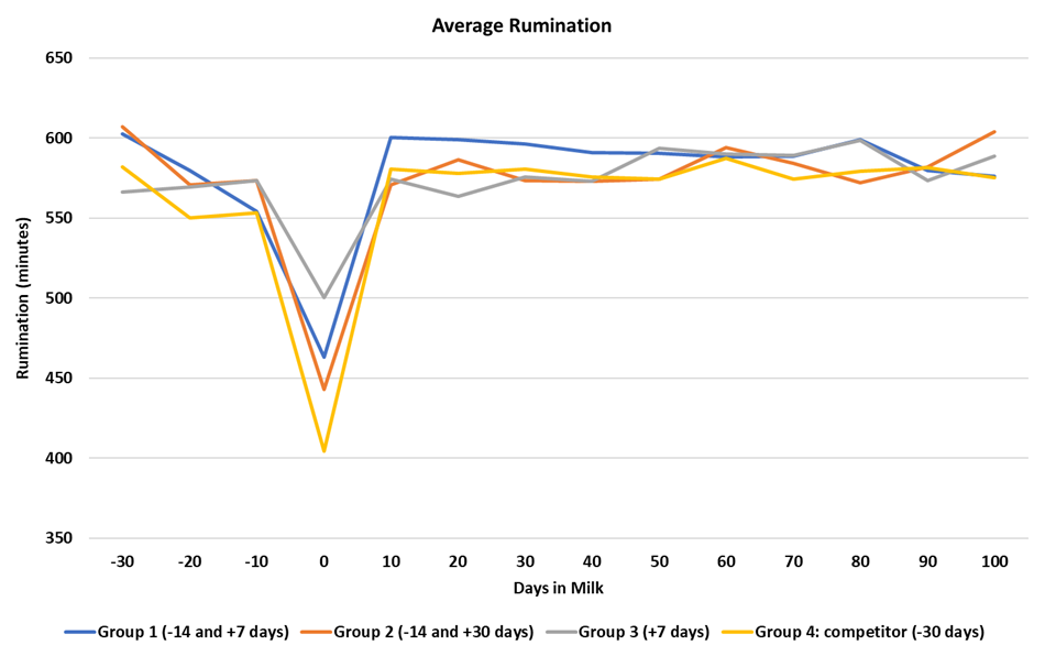 Gemiddelde herkauwtijd