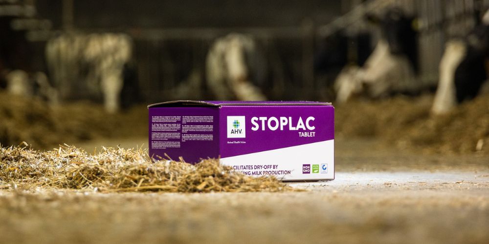 Erleichterung beim Trockenstellen