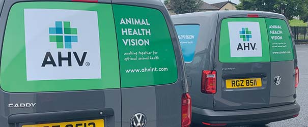 Join our team overview