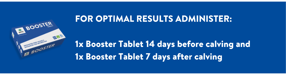 Key-timing-banner-HQ-Version-1