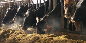 La santé mammaire doit attirer votre attention, surtout pendant l’hiver