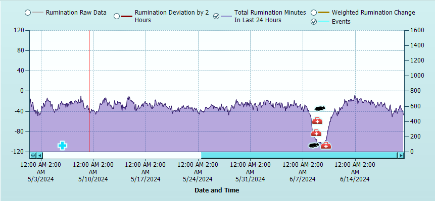 US Rumination graph 