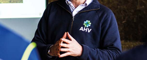 Mission and vision overview