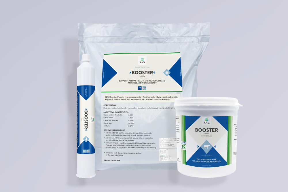 NZ_Booster-family_grey