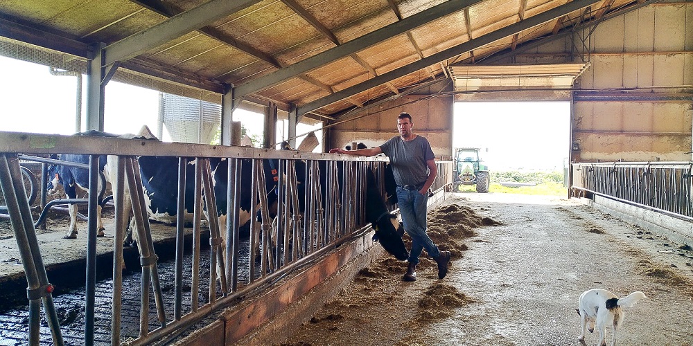 Oosterlaken melkveebedrijf