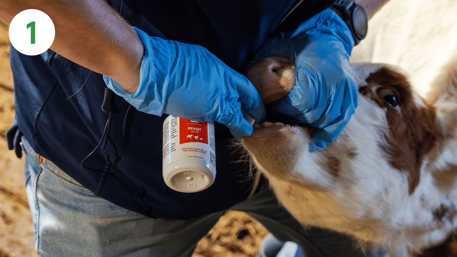 ReaQt-How_To-1920x1080-1