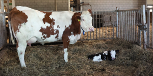 SLAM-Campaign-Q4_2024-Photos-1000x500-28