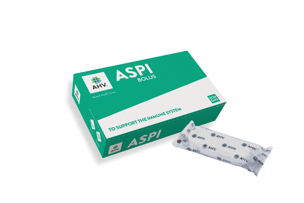 AHV Aspi Bolus US