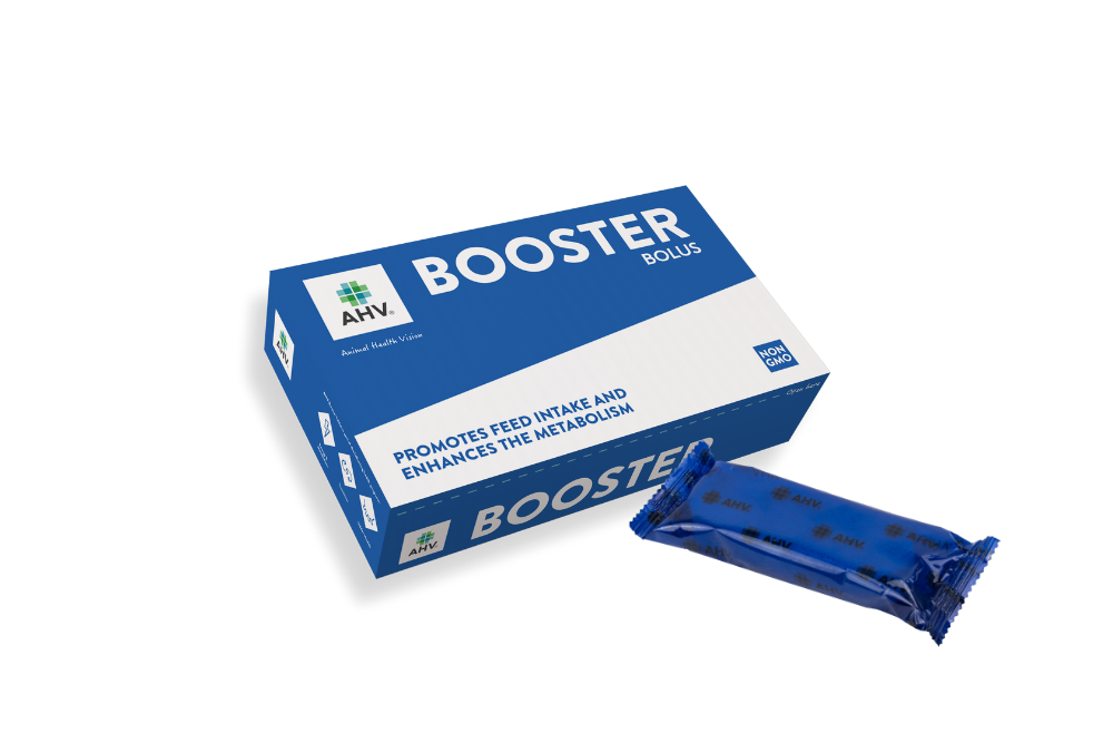 AHV Booster Bolus US