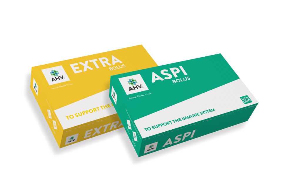 AHV Extra & Aspi