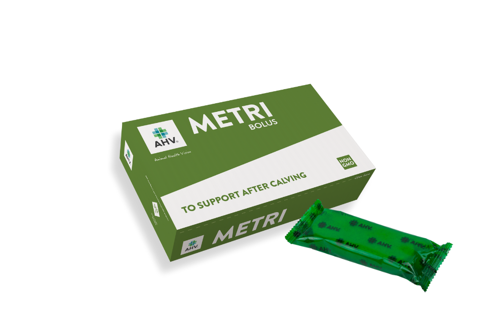 AHV Metri Bolus US
