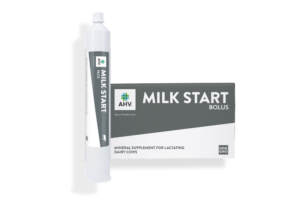 AHV Milk Start Family US