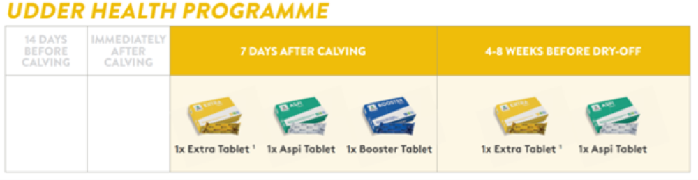 The AHV Udder Health Programme